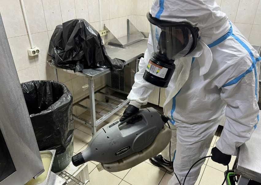 Травля тараканов профессиональная обработка жилья без запаха