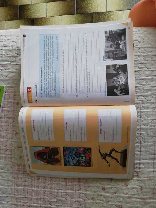 História. Livro de atividades de história 9º ano.