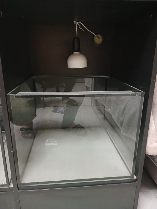 Аквариум великий на тумбі, і в тумбі ще 2 акваріума.