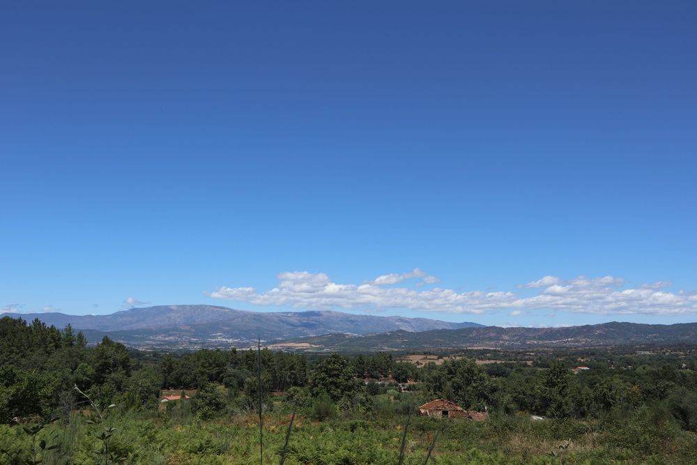 Quinta de 3,6 hectares com ruínas e terreno urbano em Alcaide