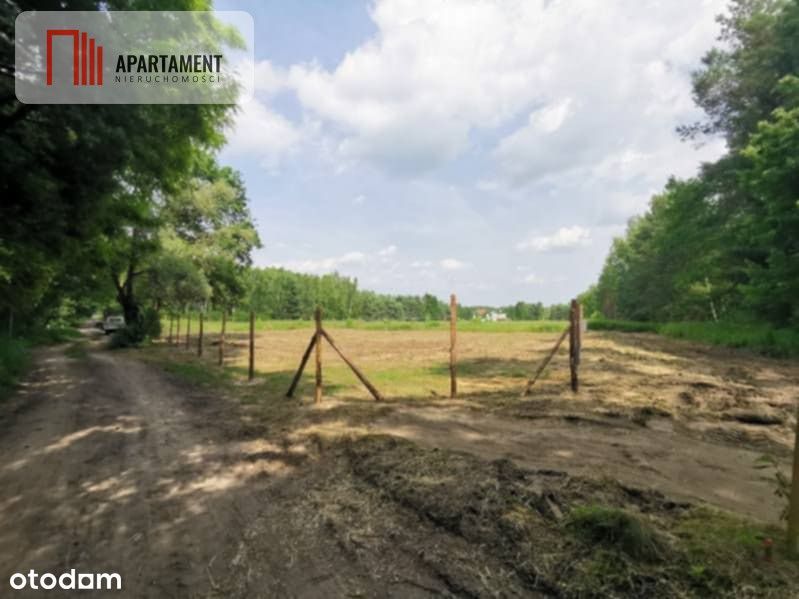 1222 m2 z widokiem na las!