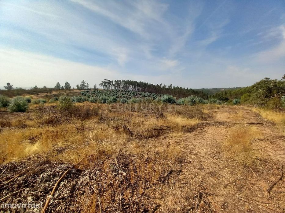 Rustic Land Plot of 30,960 m²