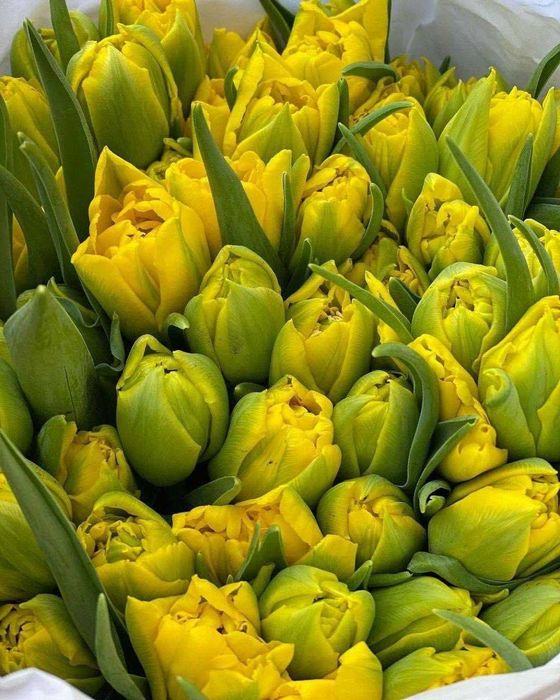 100кг- 50грн/кг, від 500 до 1т - 40 грн,від тонни по 30 грн