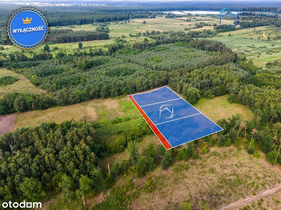 Ustronna działka 3112 m² | Niedźwiada Duża - Widok 5