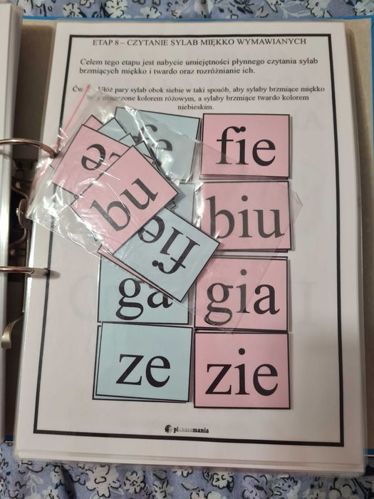 Segregator Czytanie sylabami