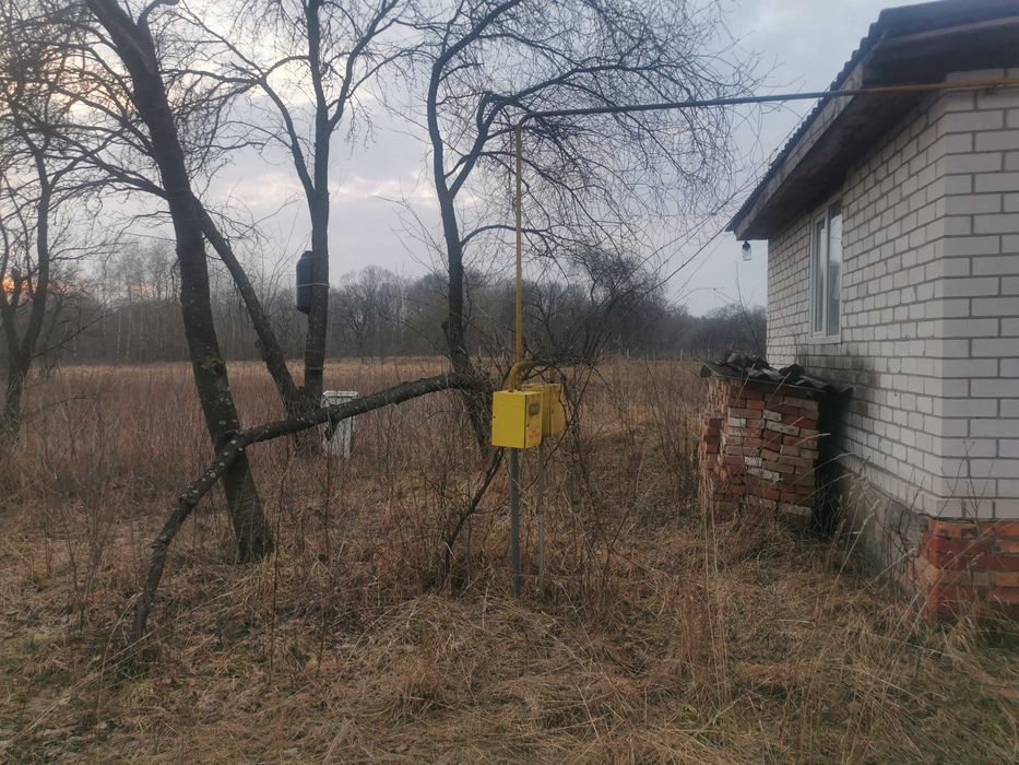 Без % продаж будинку с Нічогівка Козелецький р-н 36 соток Чернігівська