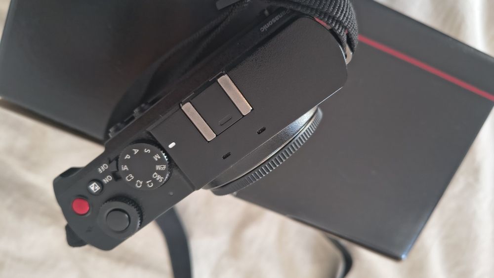 Panasonic Lumix S9