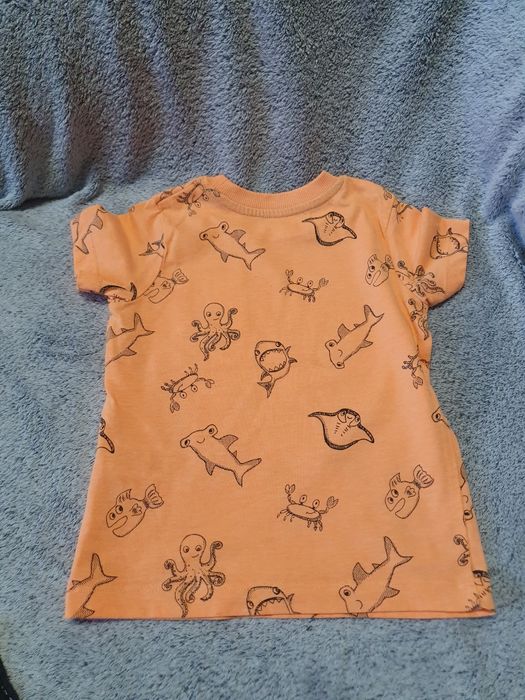 Koszulka 3x, morskie zwierzęta, paski, lody, Matalan, George, r.80