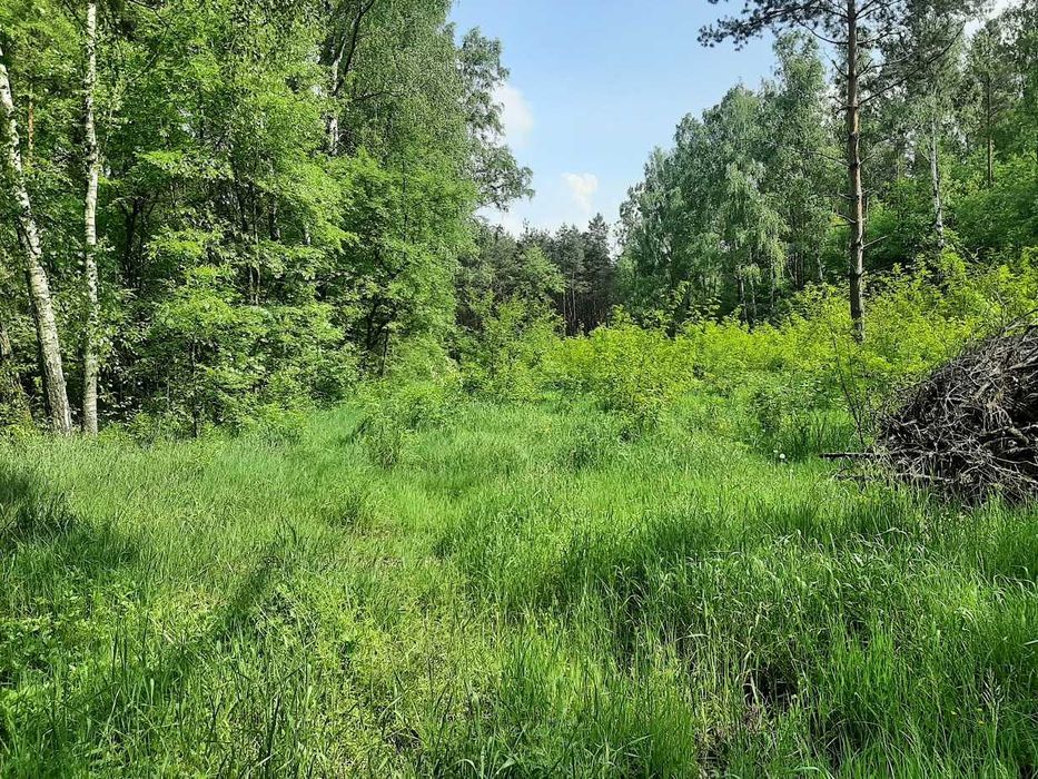 Działka o powierzchni 0,86 ha - blisko Rawy Mazowieckiej