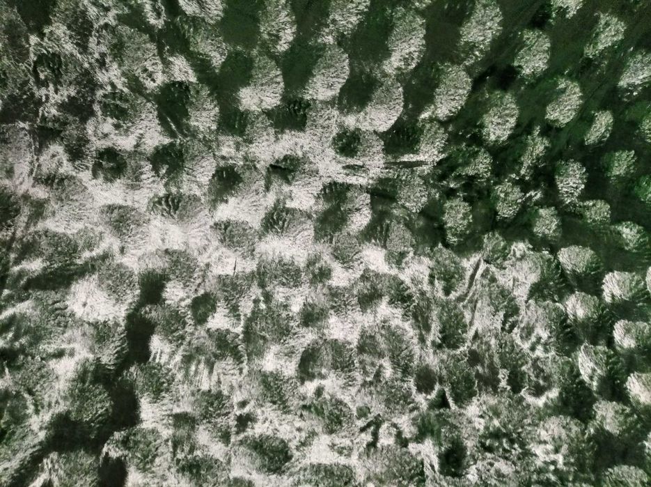 Покрывало плюшевое винтаж ретро стиль