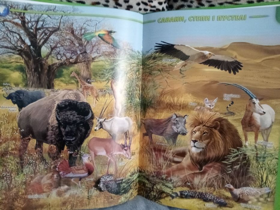 Комплект книг енциклопедій для дітей