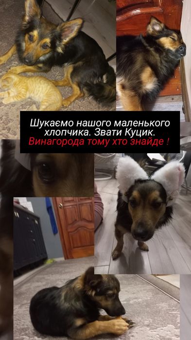 Загубився наш хлопчик