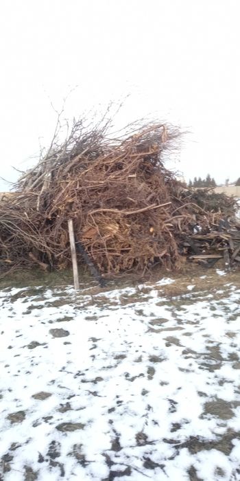 Oddam biomasę gałęzie