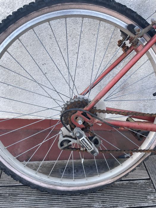 Bicicleta de adulto Esmaltina