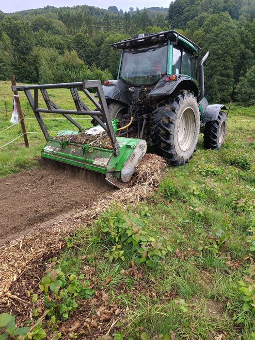 Czyszczenie działek,wycinka drzew,rekultywacja terenów,niwelacje