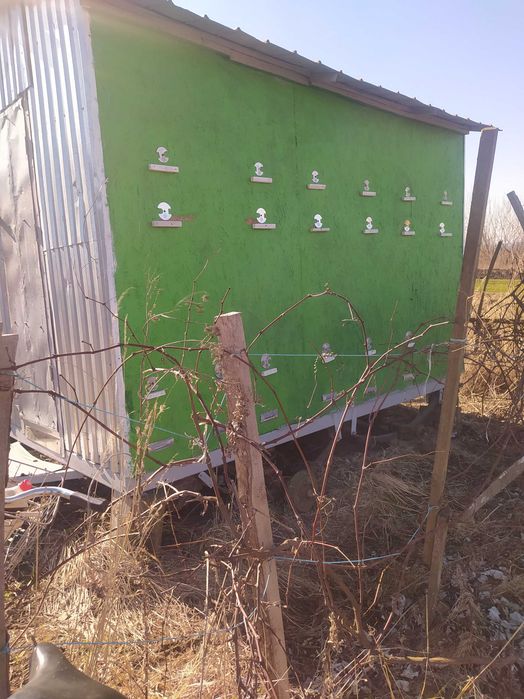 Бджолопавільйон на 30 бджолосімей двох очний