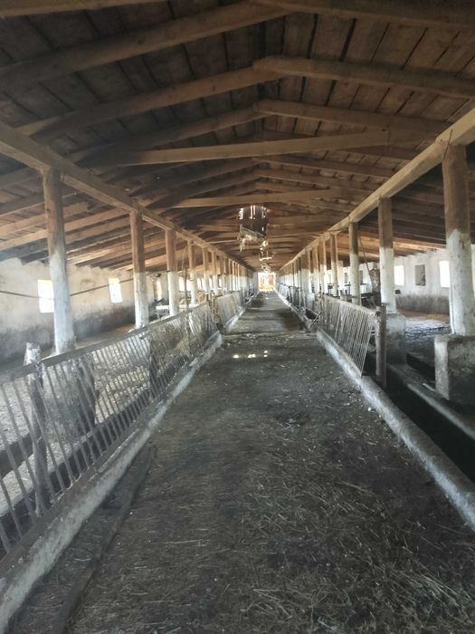 С/Х ферма(Свиноферма)