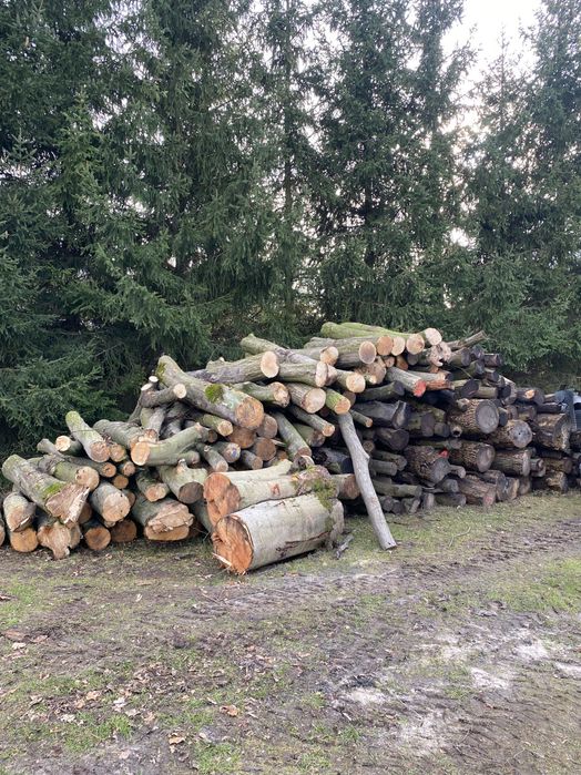 Drewno opałowe dąb, brzoza, sosna suche
