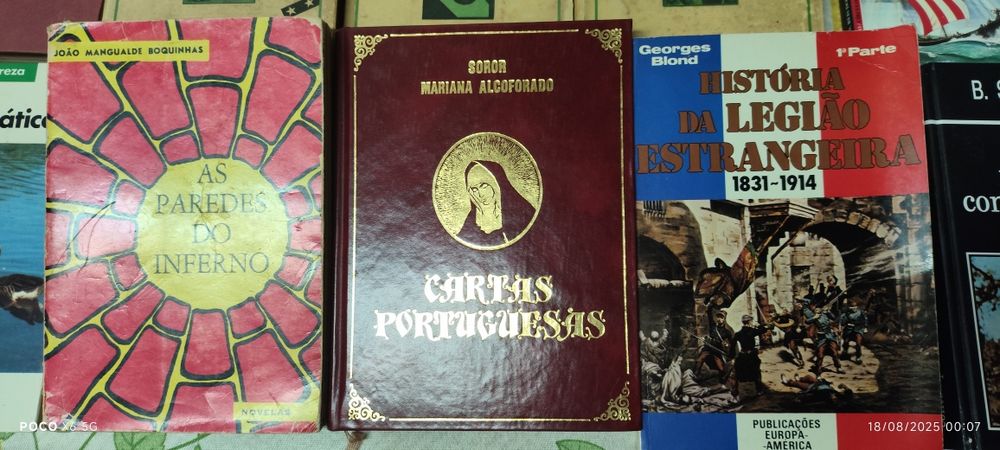 Lote variado de livros, para todos os gostos