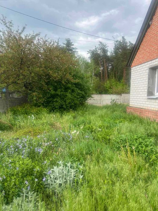 Продам дом в смт Буди 2 вида отопления участок 15 соток Тихий районTB