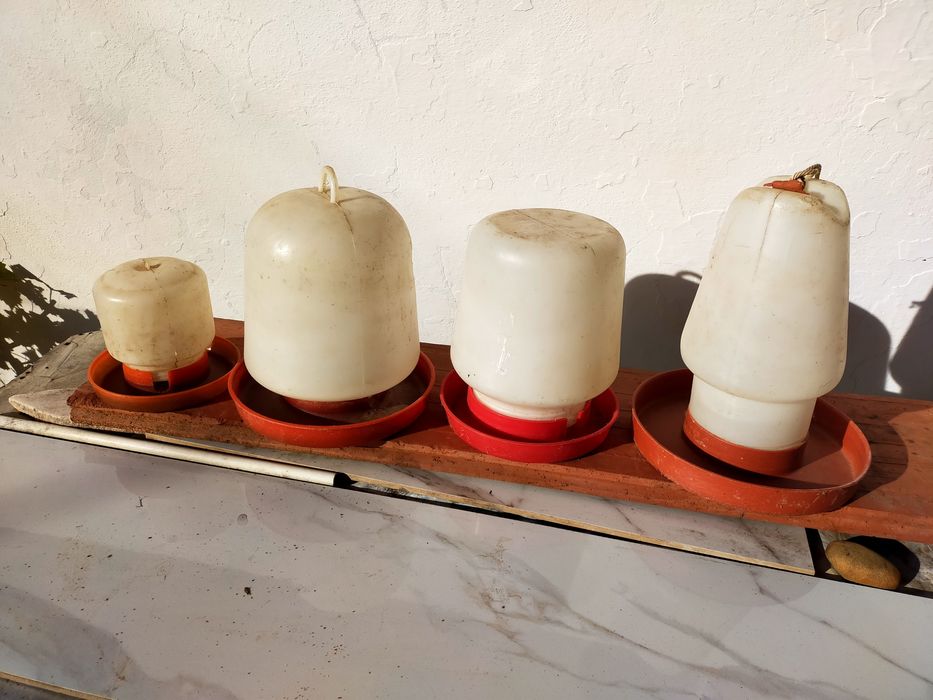 Bebedores para galinhas