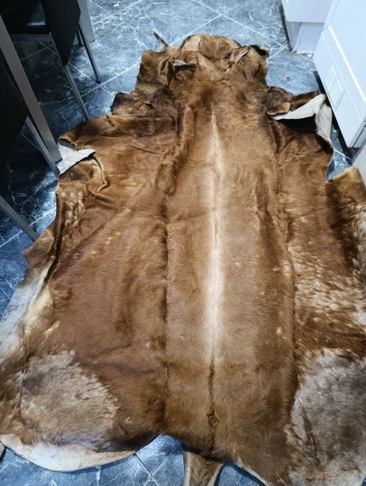 Pele de vaca em bom estado
