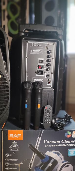 Караоке акустика Temeisheng-18, Bluetooth,SD,USB,FM,ПультДУ,2штмикро