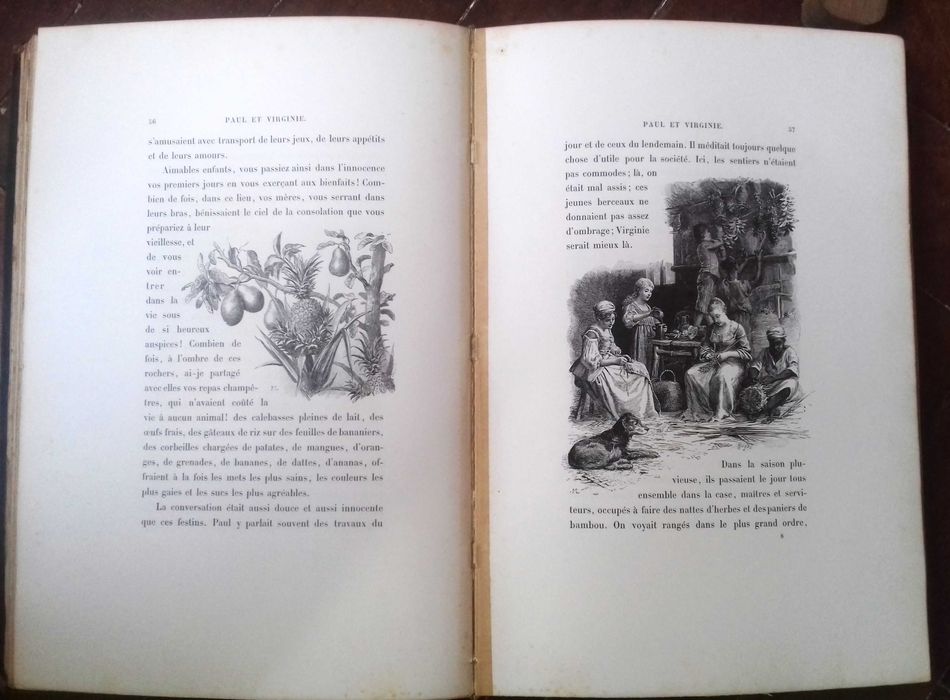 Paul et Virginie de St-Pierre/Leloir - 1887. 1a Edição de Luxo