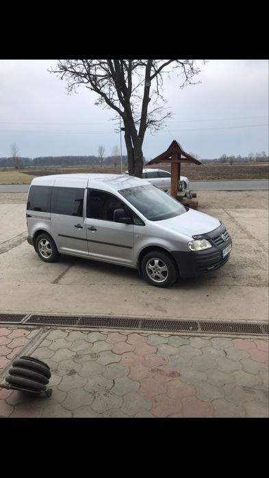 Volkswagen caggi