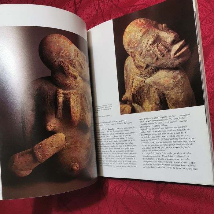 Livro áfrica nas vésperas do mundo moderno