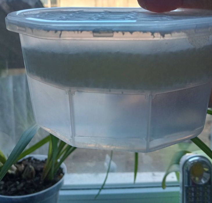 Поглинач вологи та запаху IRGE