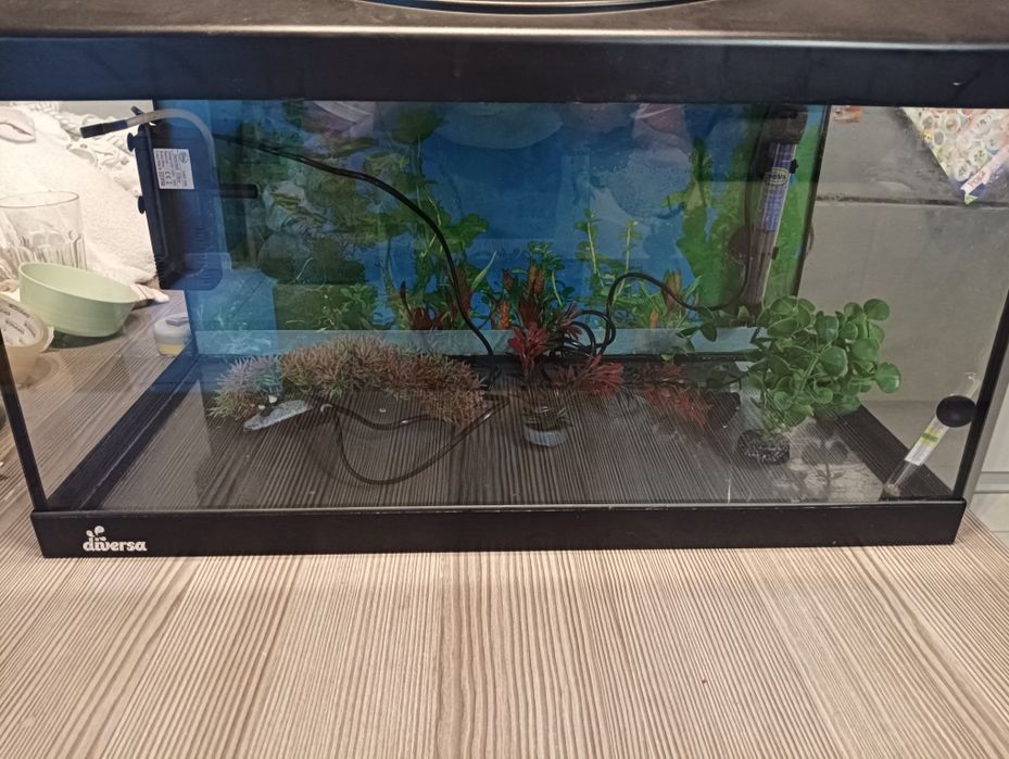 Akwarium  Diversa 60x30x30