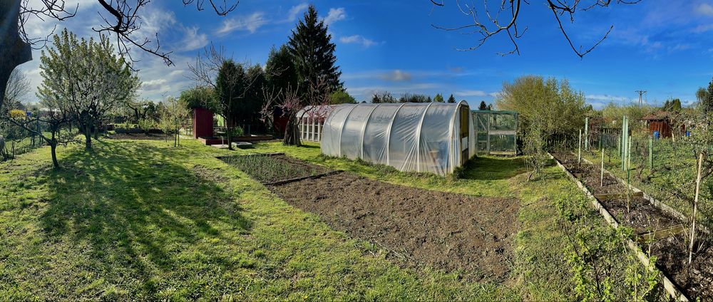 Malownicza działka ROD, duża powierzchnia.Mozliwość zakupu jednej.