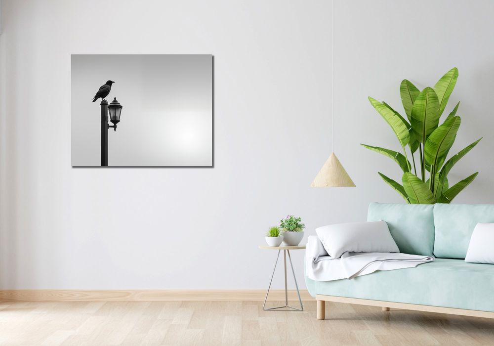Obraz 90x70cm Samotny Postój Kruka