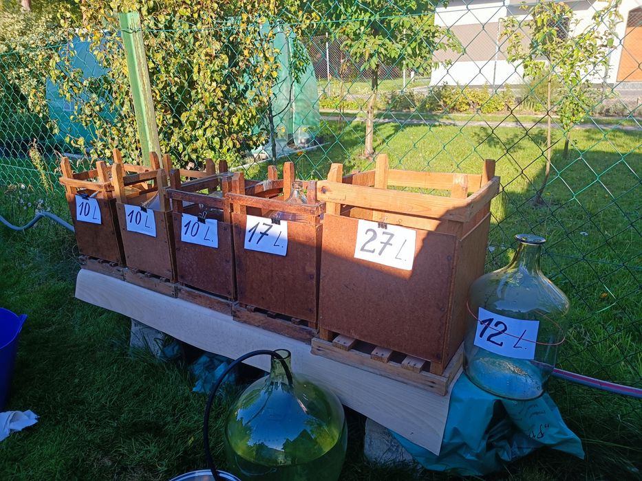 Balony na wino lub inne trunki