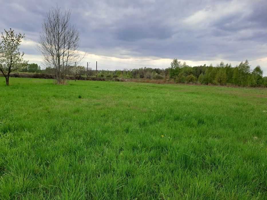 Działka budowlano-usługowo-rolna MPZP 5324 m² Marków-Tow. k.Mszczonowa - Widok 2
