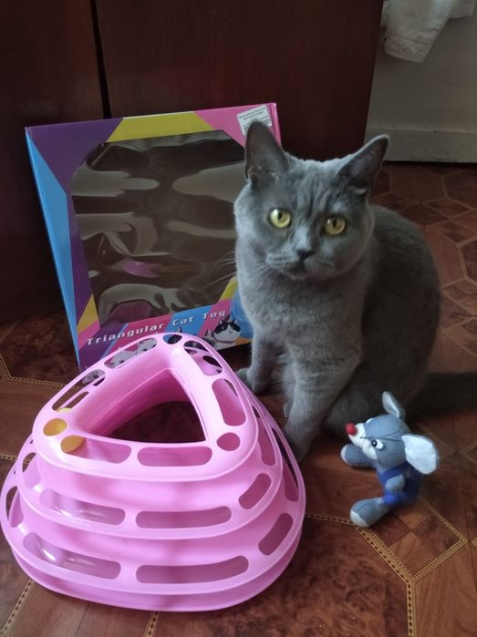 Продам игру для кошек