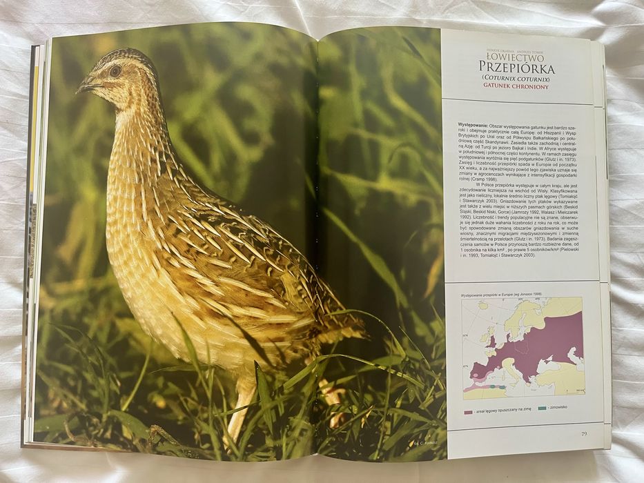 Łowiectwo Henryk Okarma, Andrzej Tomek