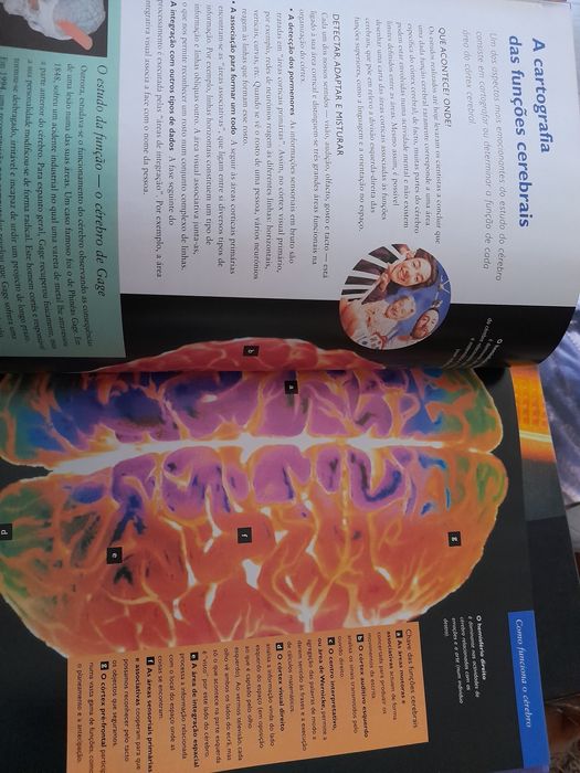 Enciclopédia do desporto