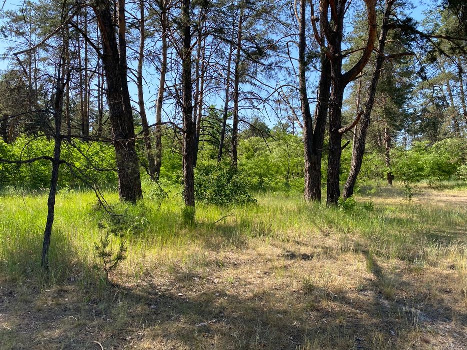 Продам ділянку в Пірнове 10 соток