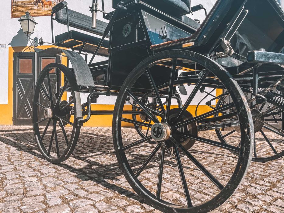 Carro de atrelagem Sierakowski & son