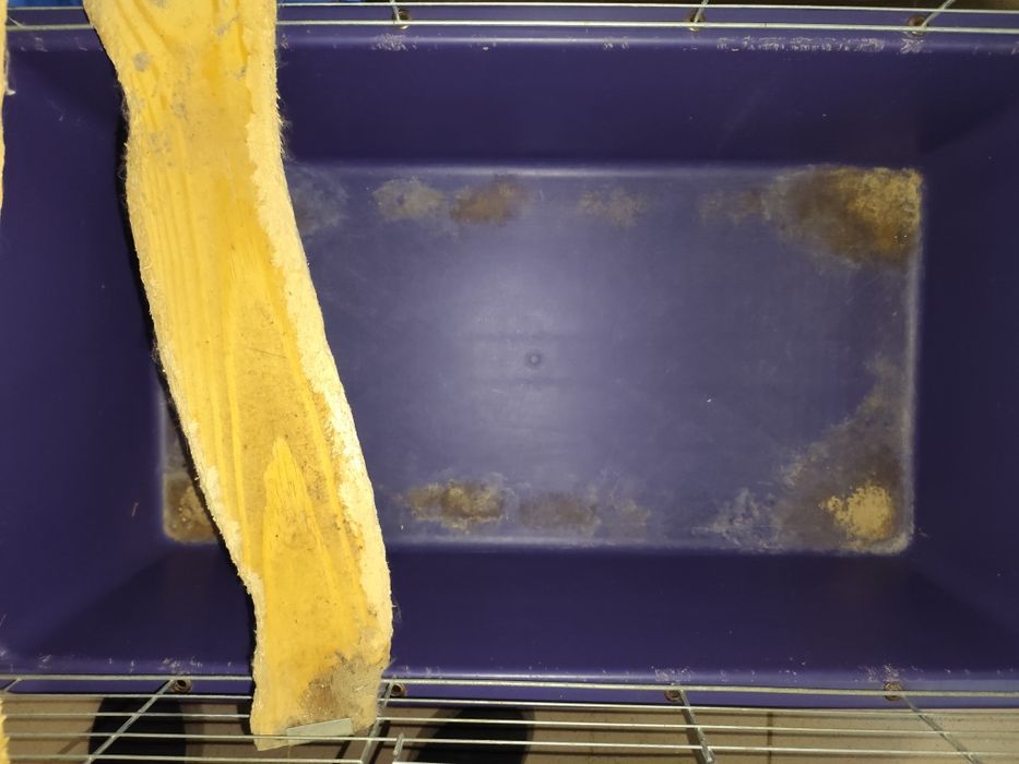 Клітка для шиншили чи кролика. Клетка . Дуже велика клітка.