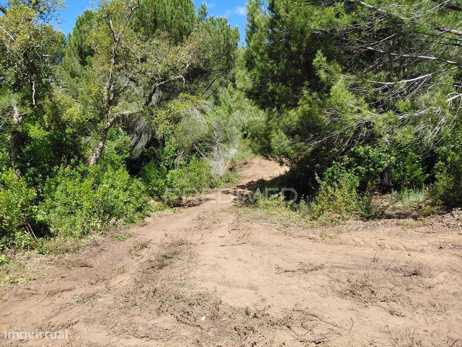 Terreno Rústico com viabilidade para Hotel Rural, S.Francisco da Se... — São Francisco da Serra, Setúbal
