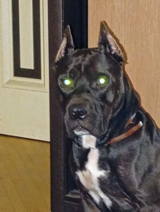 Для Вязкі Хлопчік