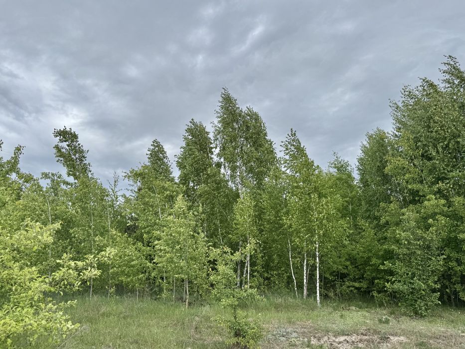 Земельна ділянка 1,5 га!!! Пилиповичі