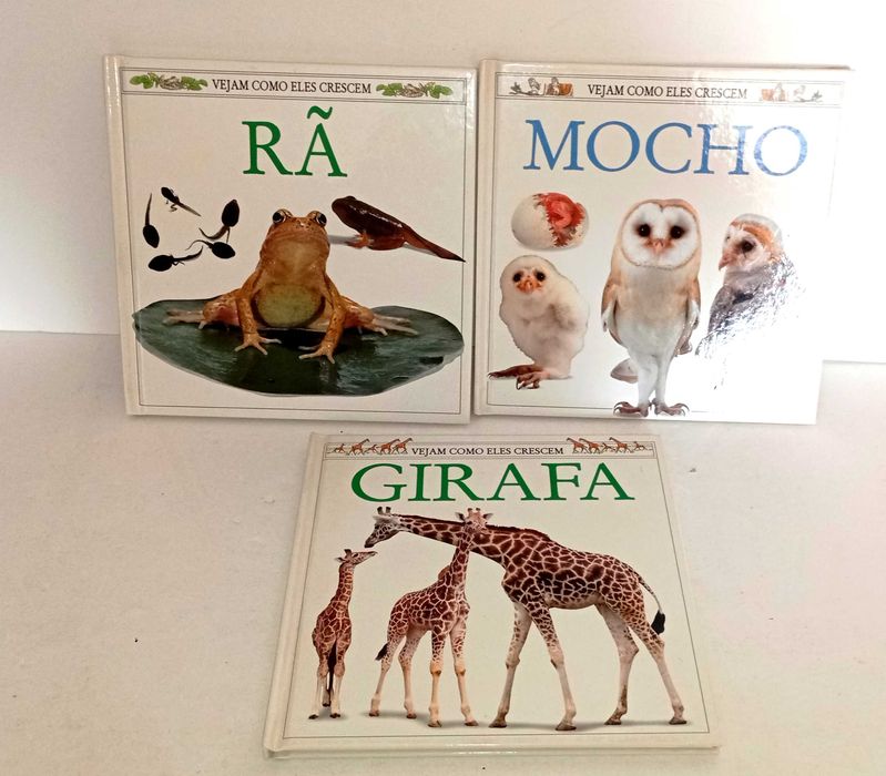 Coleção - Vejam como eles crescem (Mais nas restantes Fotografias)