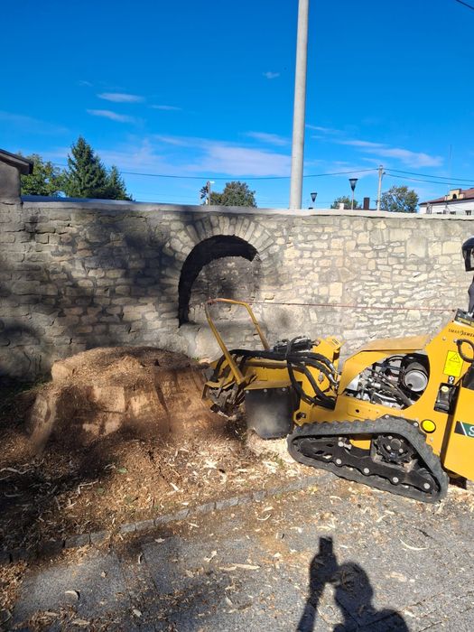 Frezowanie pni drzew