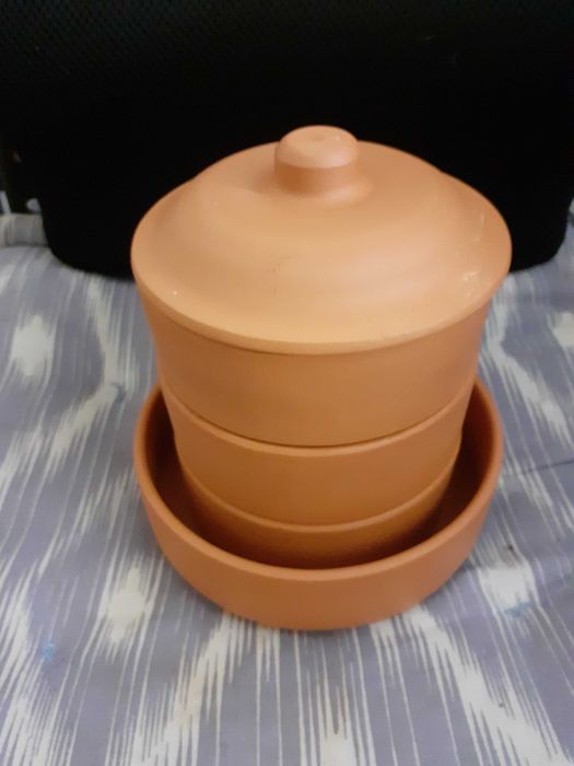 Germinador de sementes em barro