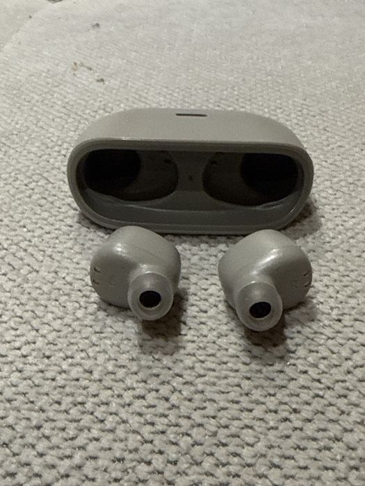 Sluchawki douszne bezprzewodowe JBL Wave 100 WTS bluetooth