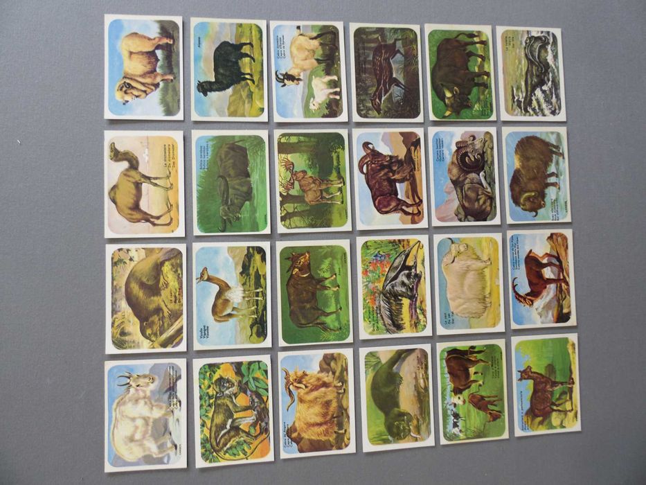 Calendários Animais Diversos